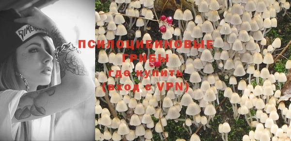 индика Абдулино