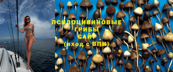индика Абдулино