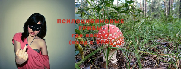 меф Пересвет