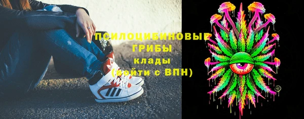 индика Абдулино