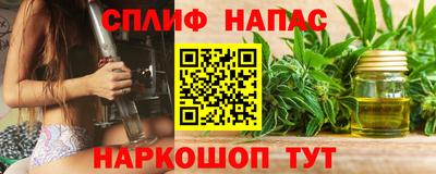 герыч Моздок