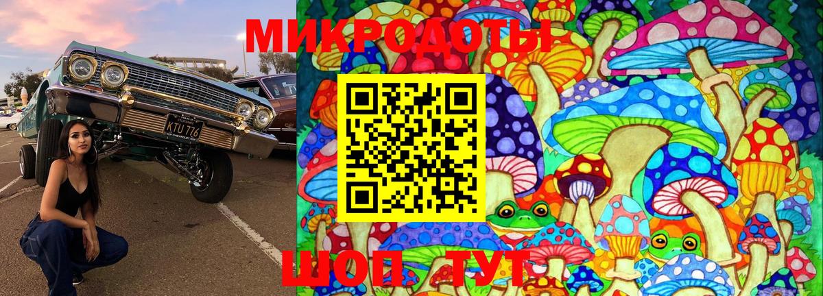 Псилоцибиновые грибы Cubensis Отрадное