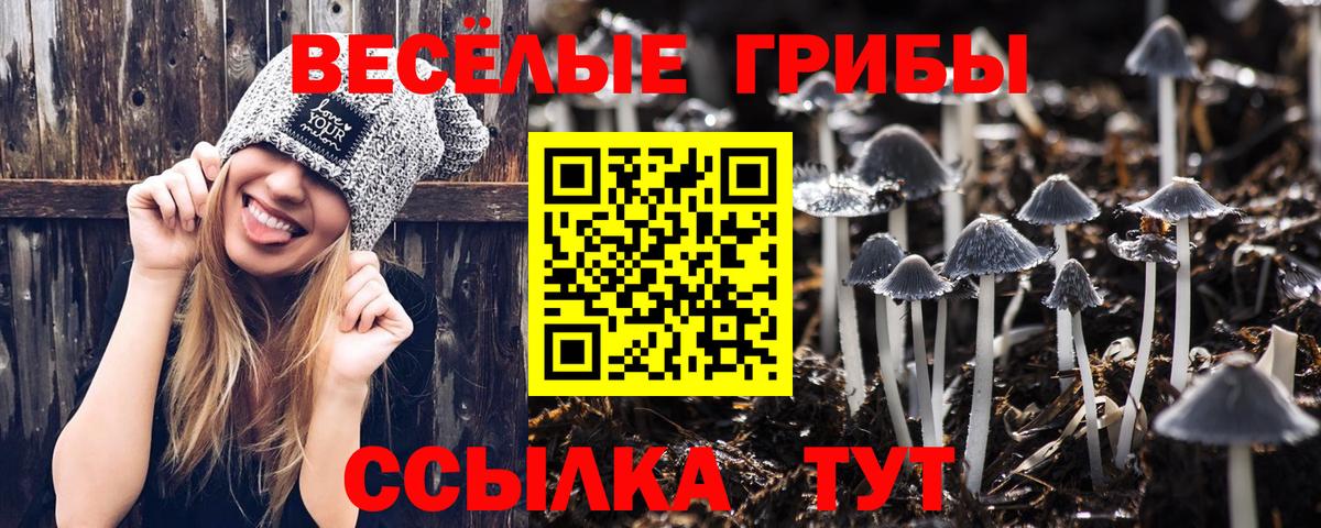 Отрадное  Галлюциногенные грибы Psilocybine cubensis  Вход с VPN  как найти закладки  Галлюциногенные грибы Psilocybine cubensis 